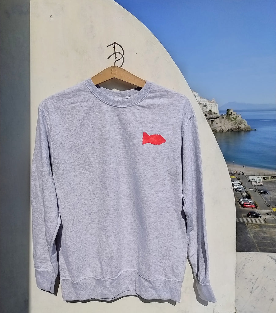 Pesce rosso - light sweatshirt ( for him) - JP Amalfi